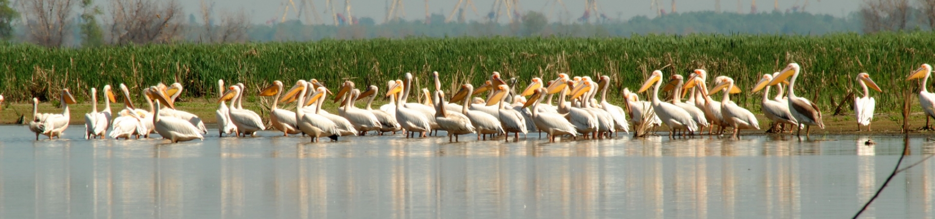 Danube Delta & Black Sea seaside